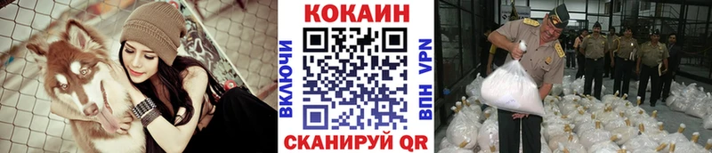 COCAIN Fish Scale  наркота  Кызыл 