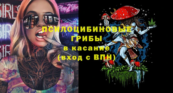 ECSTASY Заводоуковск
