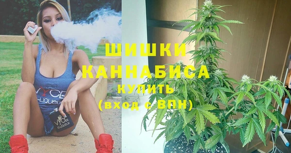ECSTASY Заводоуковск