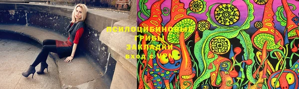 ECSTASY Заводоуковск