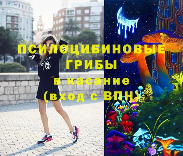 ECSTASY Заводоуковск