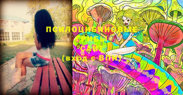 ECSTASY Заводоуковск