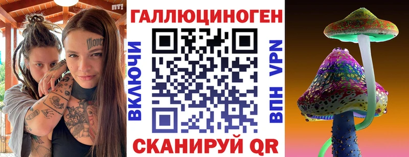 наркотики  Кызыл  Псилоцибиновые грибы Cubensis 